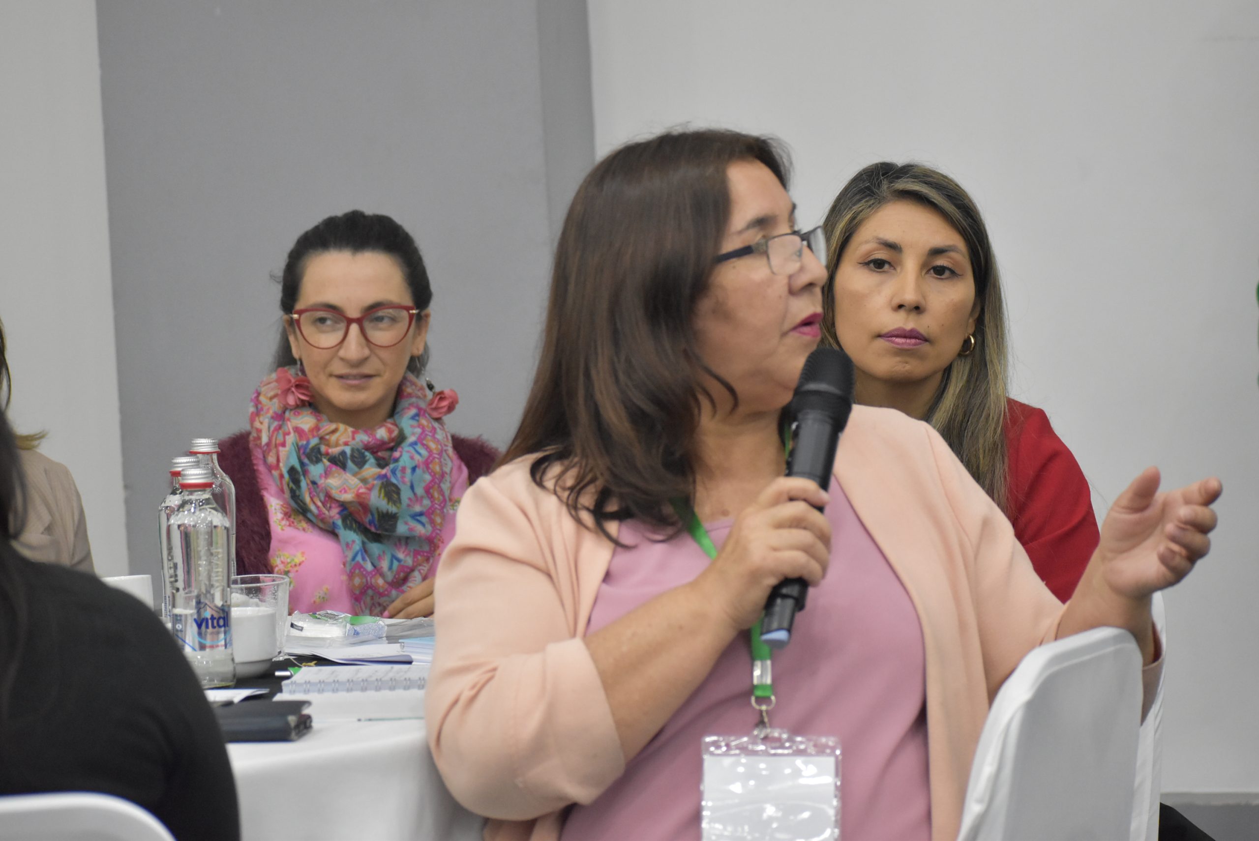 Lanzamiento en La Araucanía