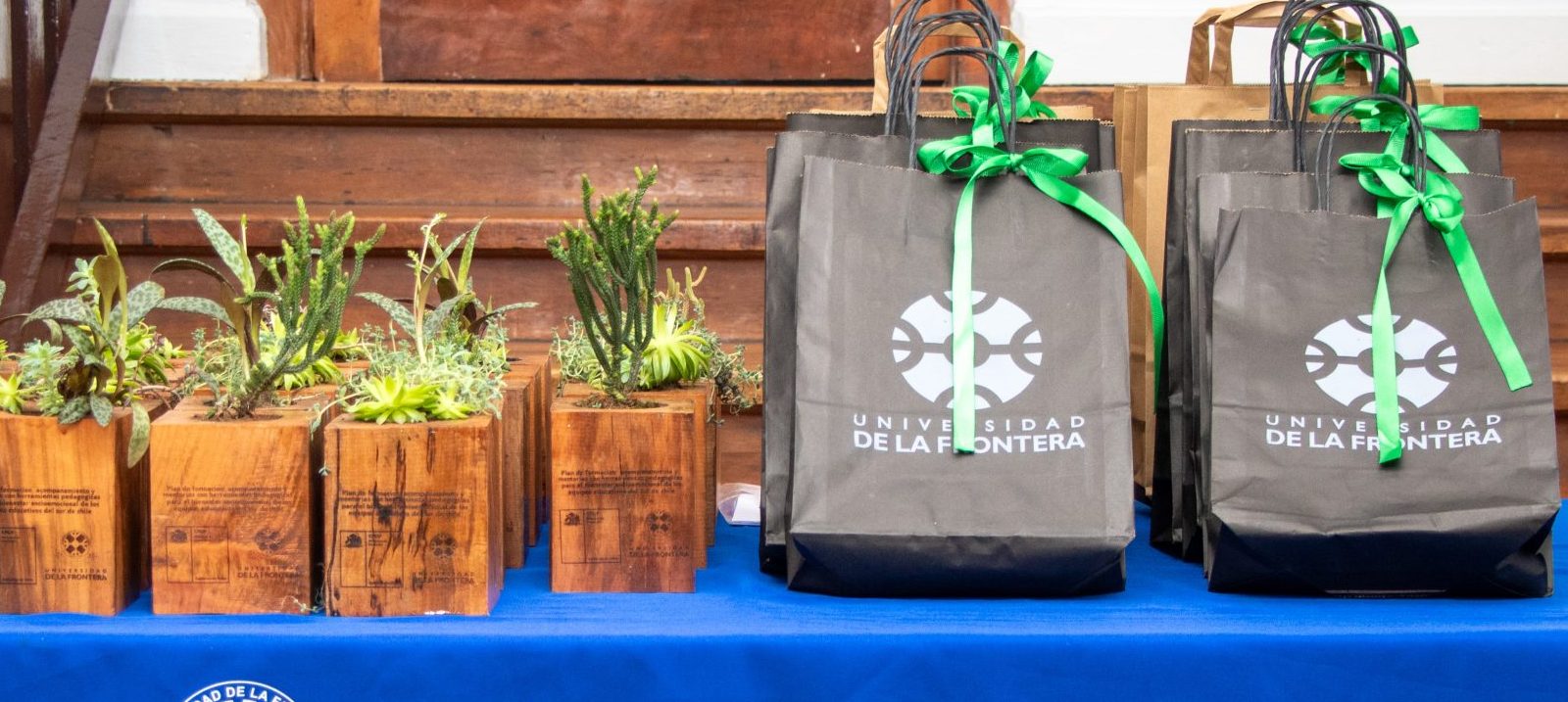 Equipos educativos del sur de Chile culminan el año fortaleciendo comunidades de bienestar